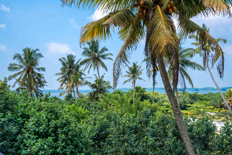 WiFi-Tribe-Sri-Lanka-Weligama-Digital-Nomad-Remote-Worker-38_Ocean View Deluxe_2